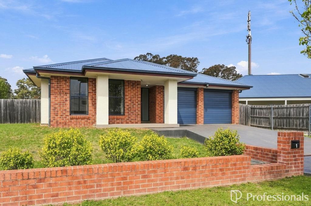 1 Torulosa Rd, The Oaks, NSW 2570