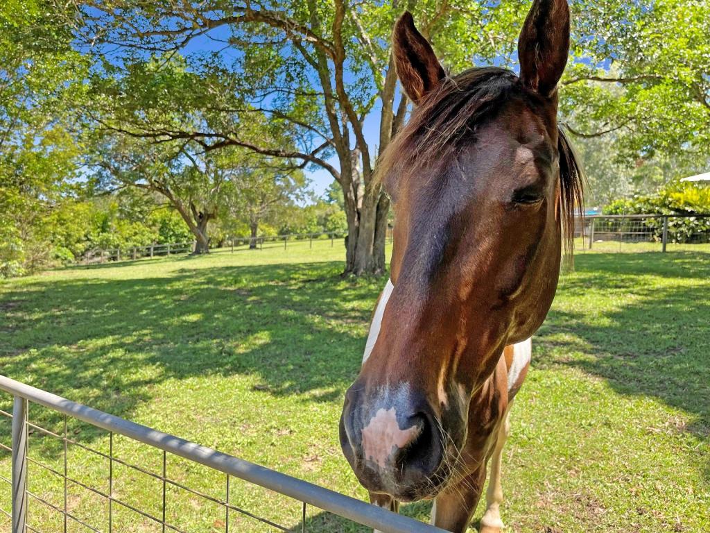 378 Chevallum Rd, Chevallum, QLD 4555