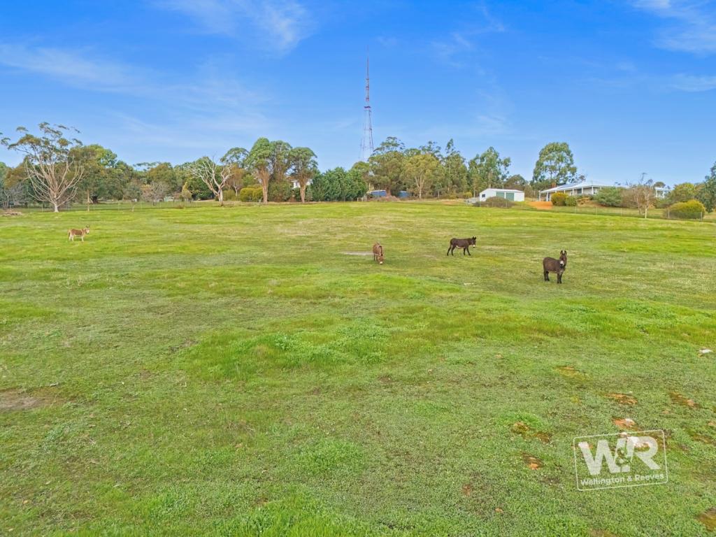 Lot 301 Mount Barker Rd, Mount Barker, WA 6324