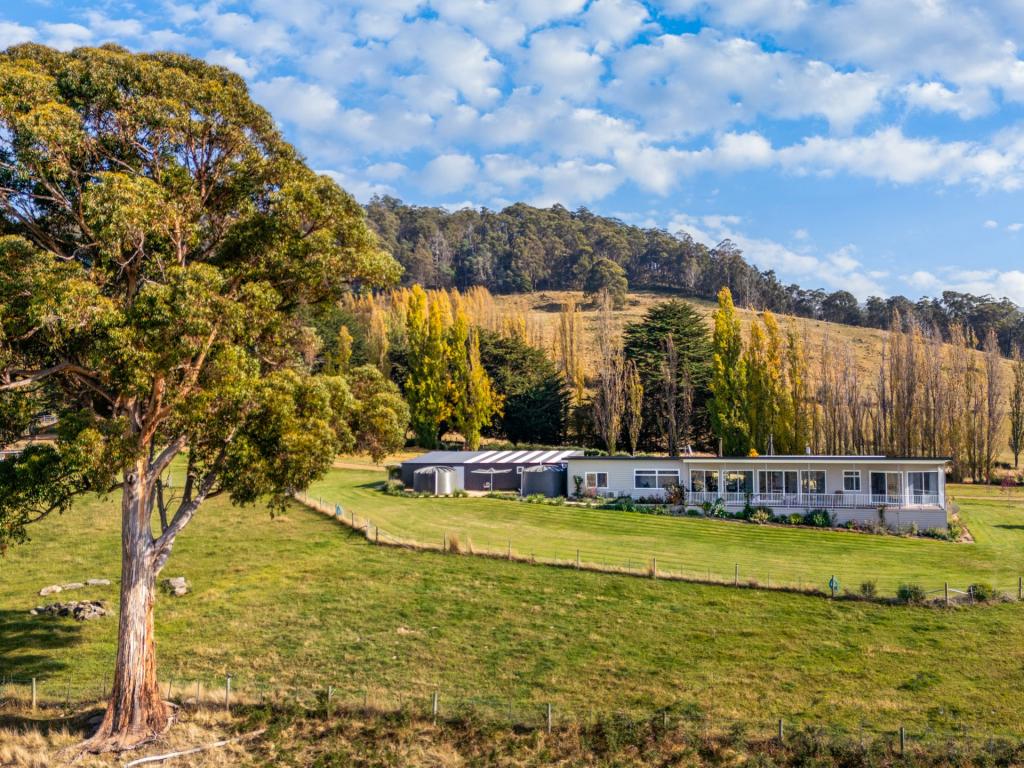 460 Dry Poles Rd, Ellendale, TAS 7140