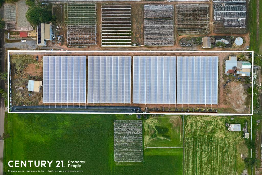 56 Rowland Rd, Virginia, SA 5120