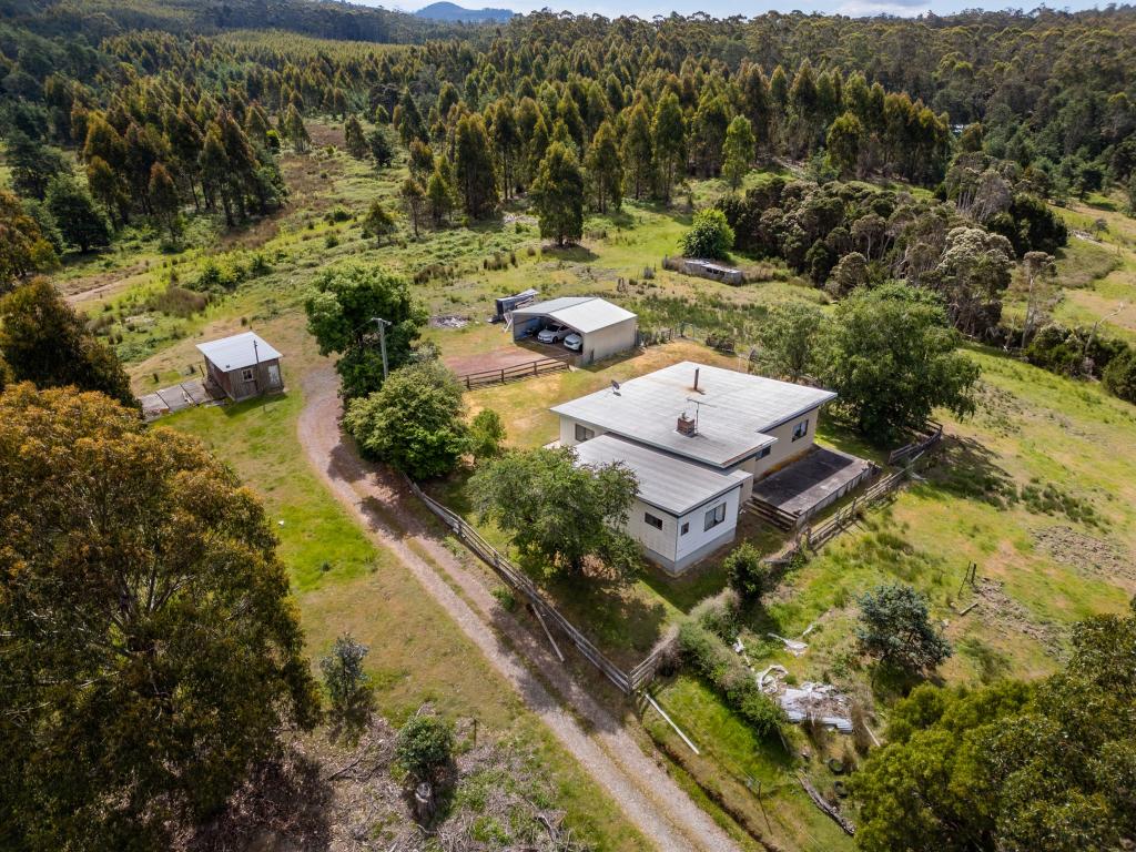 146 Ginns Rd, Birralee, TAS 7303