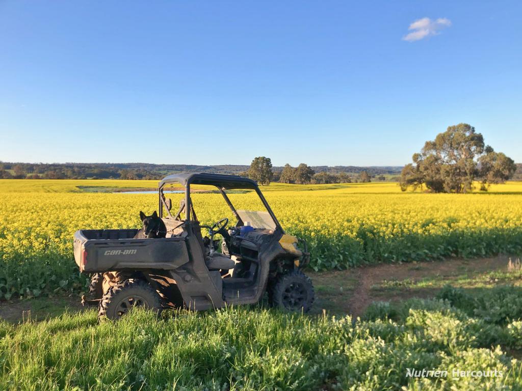 8221 BROOKTON HWY, JELCOBINE, WA 6306
