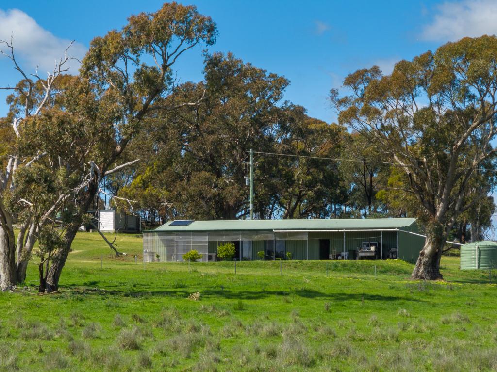 134 LEMMONS ROAD BORENORE VIA, ORANGE, NSW 2800