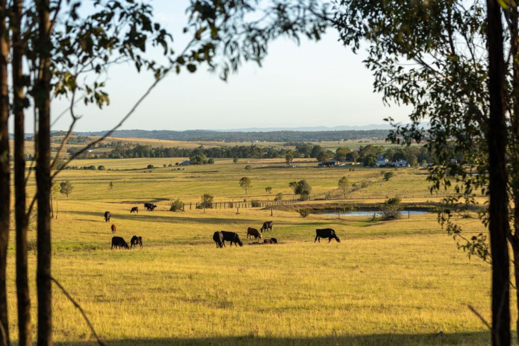 880d Elderslie Rd, Elderslie, NSW 2335