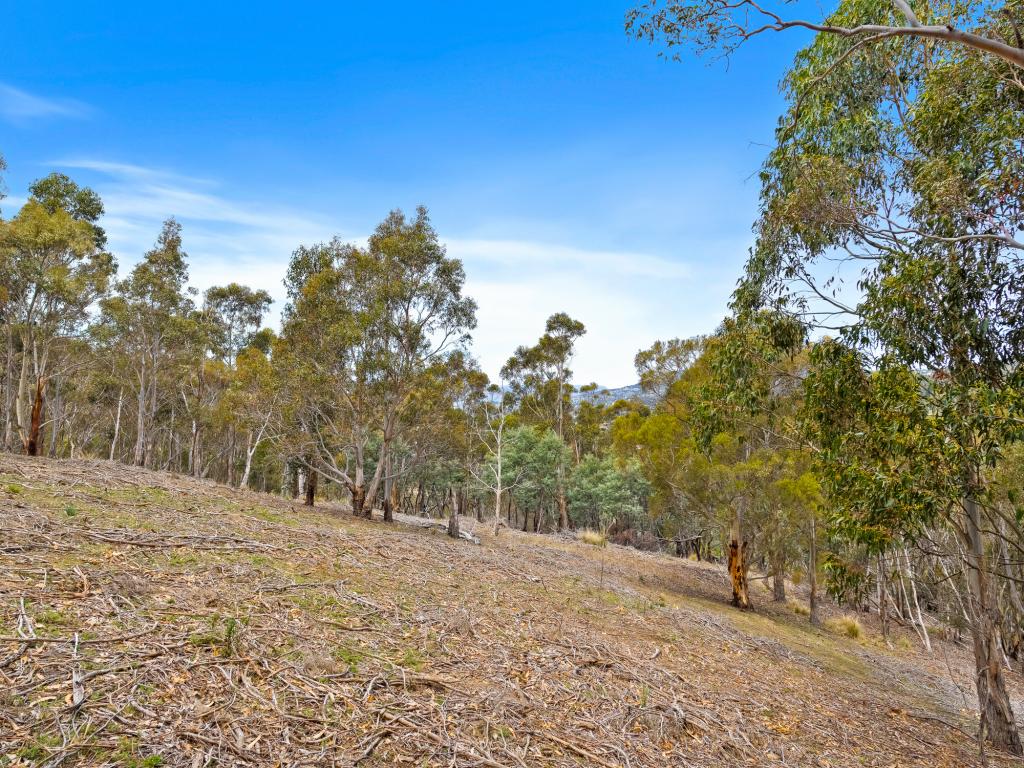 193 Forest Rd, West Hobart, TAS 7000