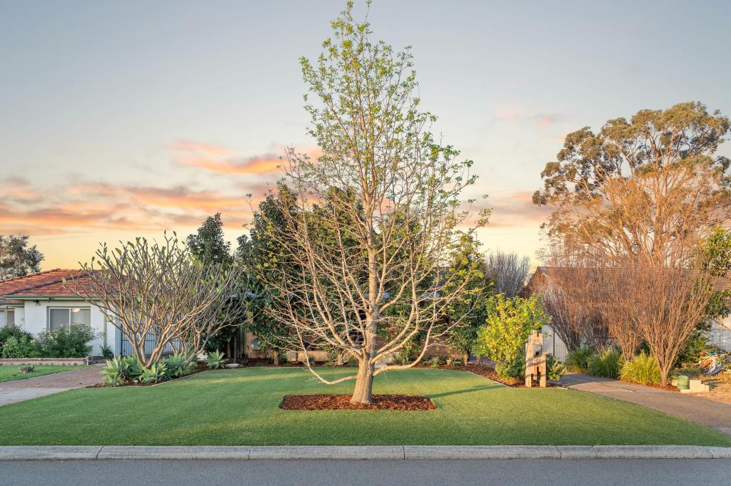 27 Williamson Ave, Belmont, WA 6104