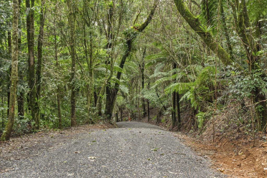 2768 Springbrook Rd, Springbrook, QLD 4213