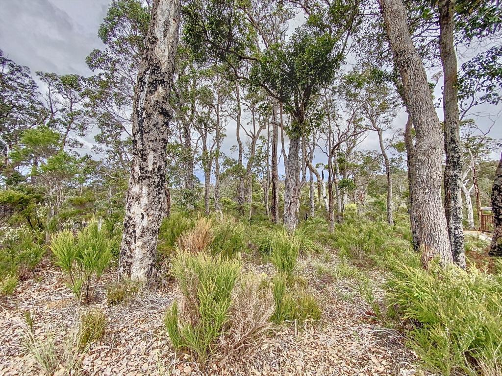 89 Karri St, Walpole, WA 6398