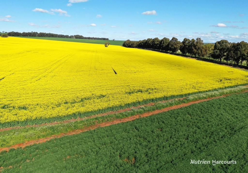 223 MUNGEDAR RD, BADGINGARRA, WA 6521