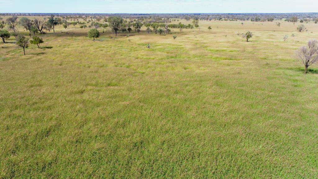 'GLENCOE'/28547 CARNARVON HWY, ROMA, QLD 4455