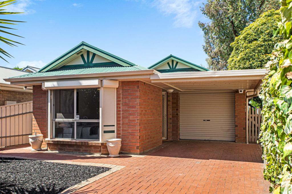 8 Mcquillan Ave, Renown Park, SA 5008