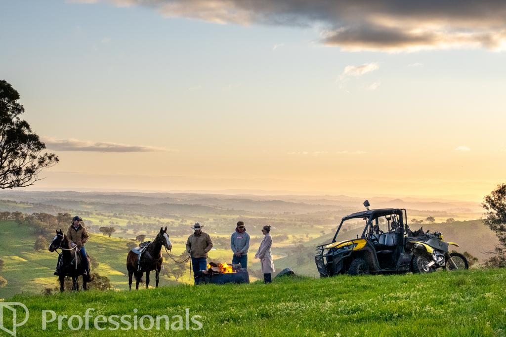 361 Dicksons Lane, Orange, NSW 2800