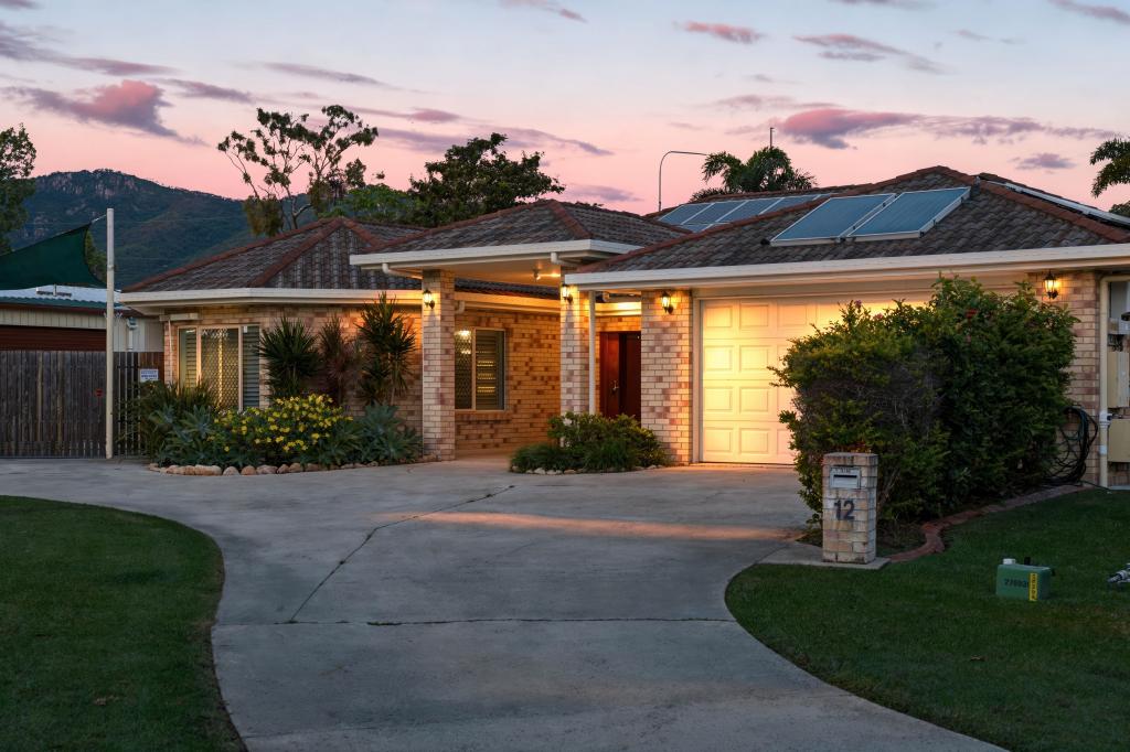 12 Damson Ct, Douglas, QLD 4814