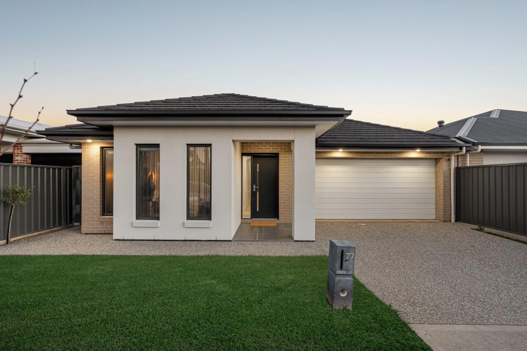 77 Wallala Ave, Morphettville, SA 5043