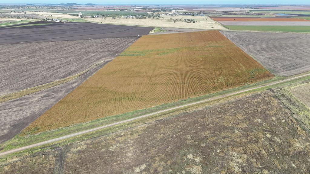 "Mullers Flat" Lot 2022 Oakey Pittsworth Rd, Aubigny, QLD 4401