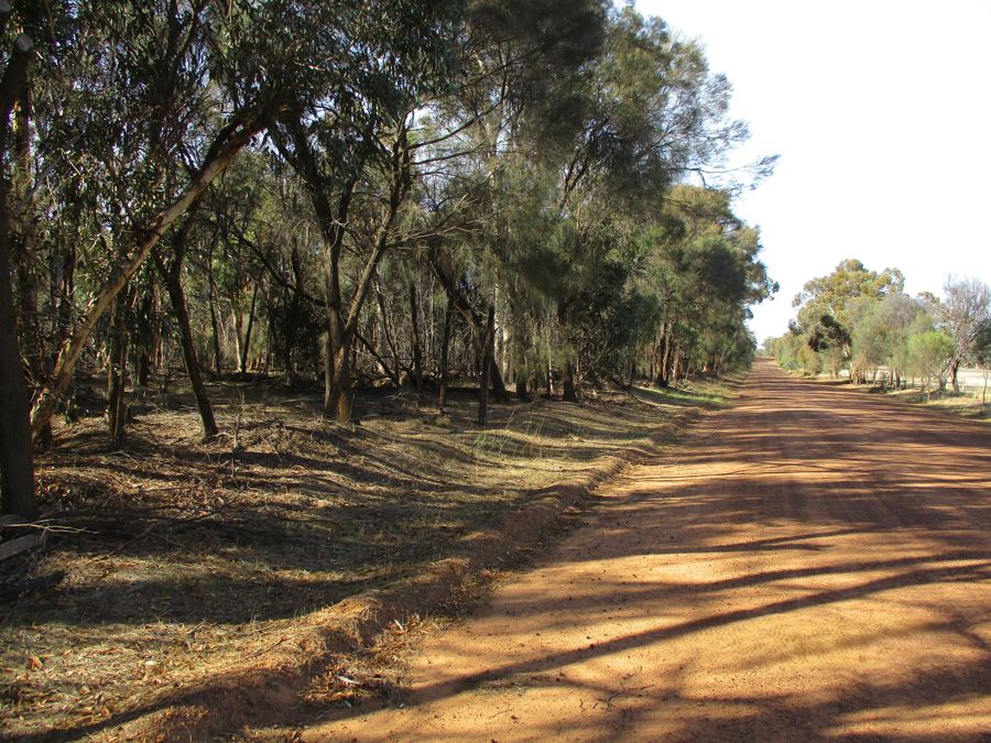Lot 9981 Dardadine Rd S, Darkan, WA 6392