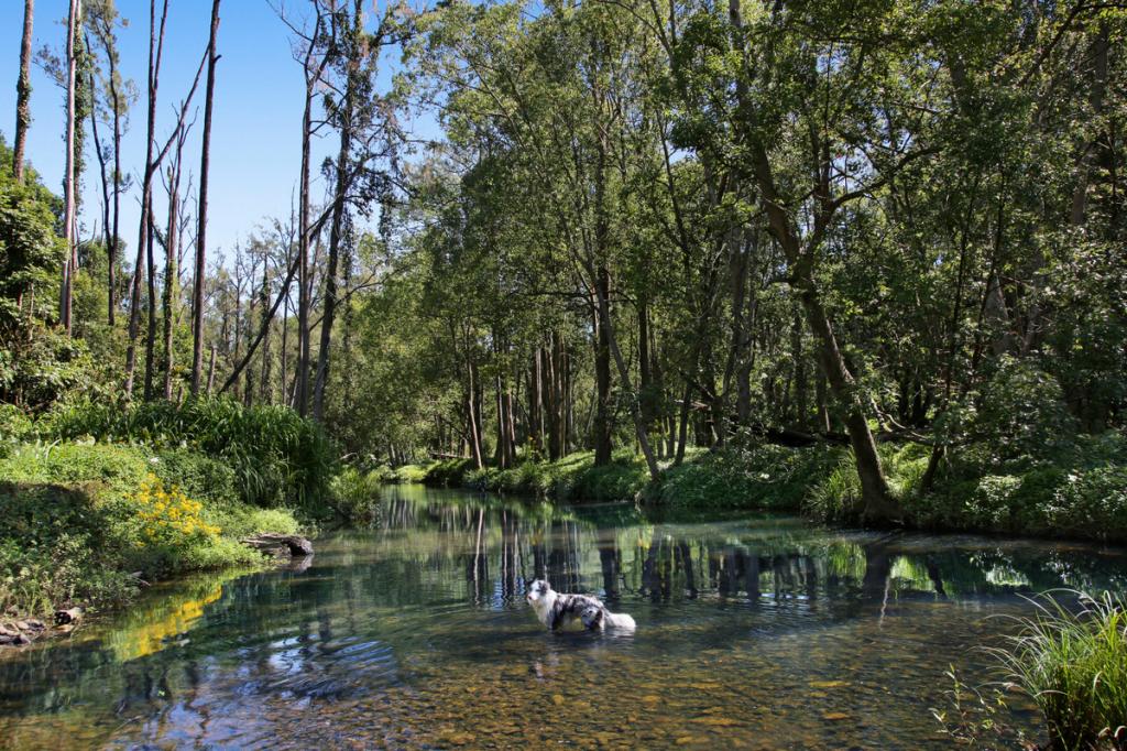 52b Syndicate Rd, Tallebudgera Valley, QLD 4228