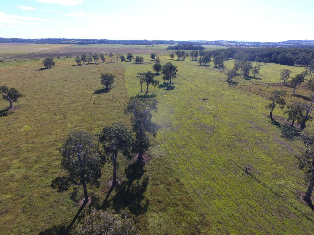 Tuckean Island Rd, Marom Creek, NSW 2480