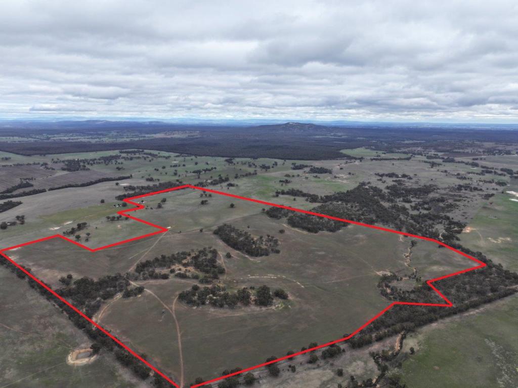 Lot 1 Rheola - Llanelly Rd, Murphys Creek, VIC 3551
