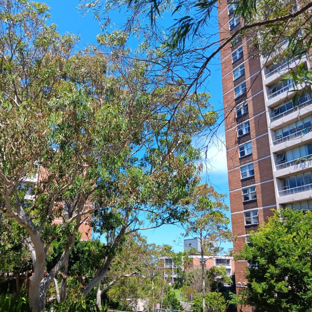 125/69 St Marks Rd, Randwick, NSW 2031