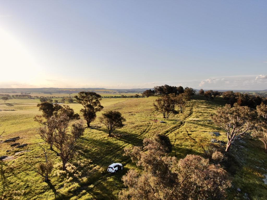 5911 Holbrook Rd, Maxwell, NSW 2650