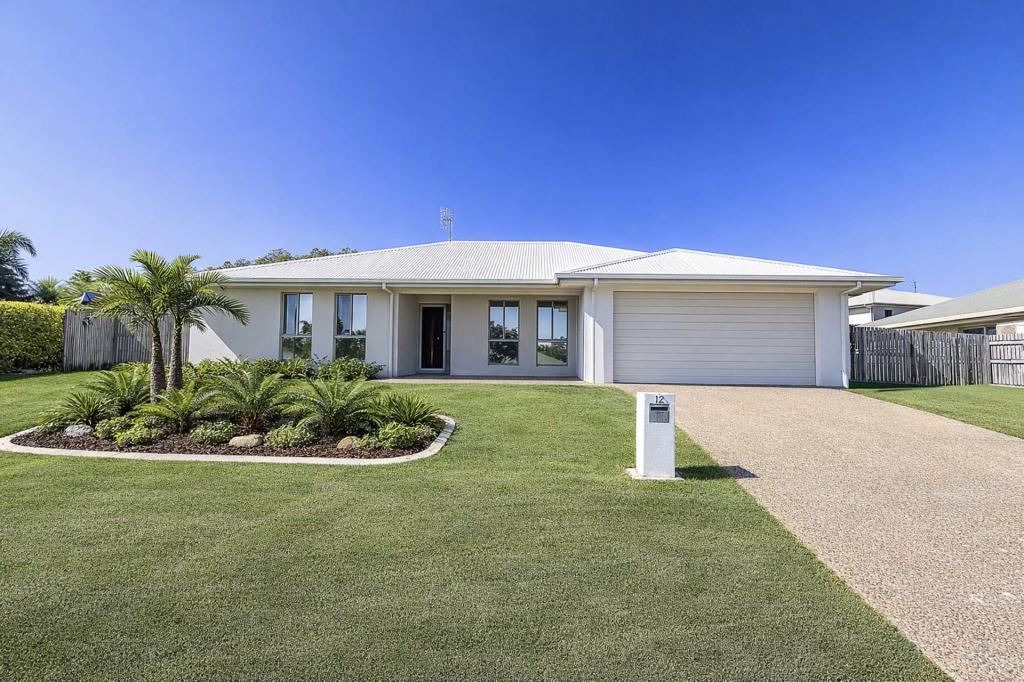 12 Hinton Ct, Deeragun, QLD 4818