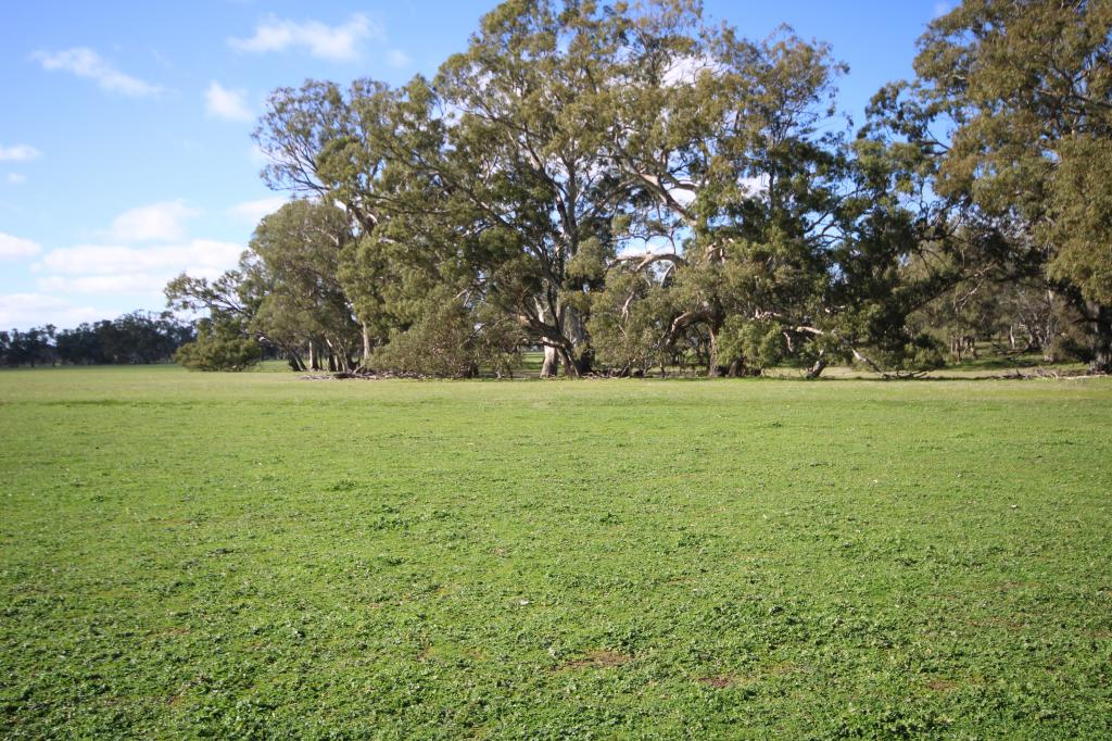 202 Malones Rd, Naracoorte, SA 5271