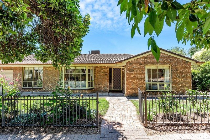 9b Holton St, Glenside, SA 5065