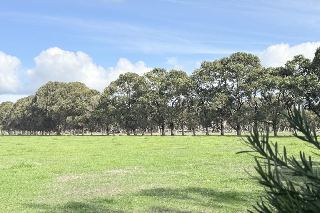Lot 121/238 Link Rd, Marbelup, WA 6330