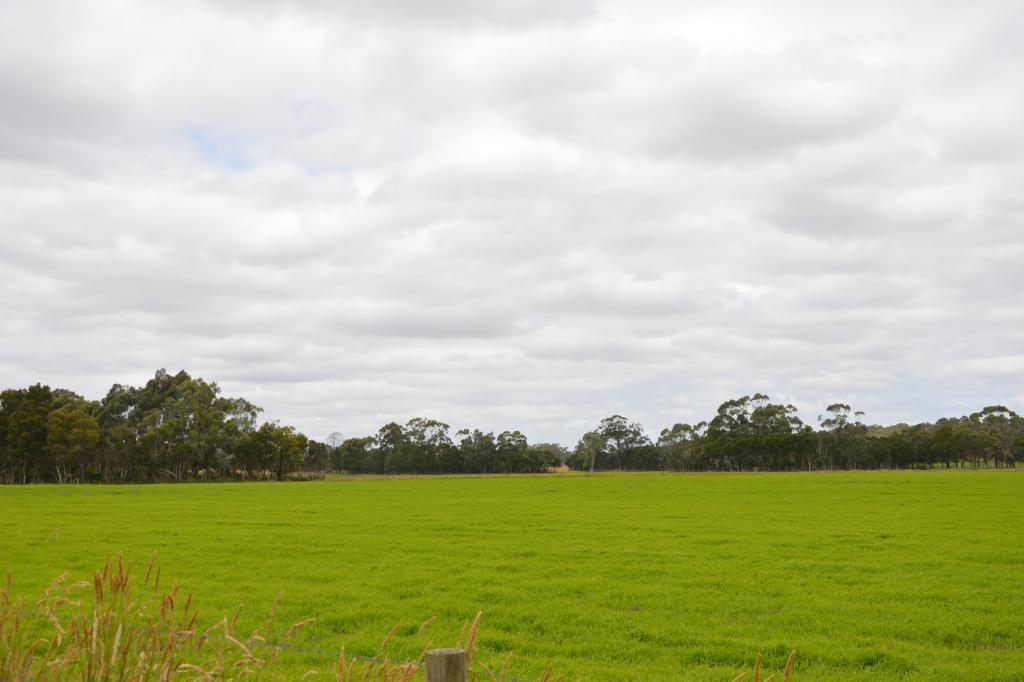 147 Outtrim - Inverloch Rd, Outtrim, VIC 3951