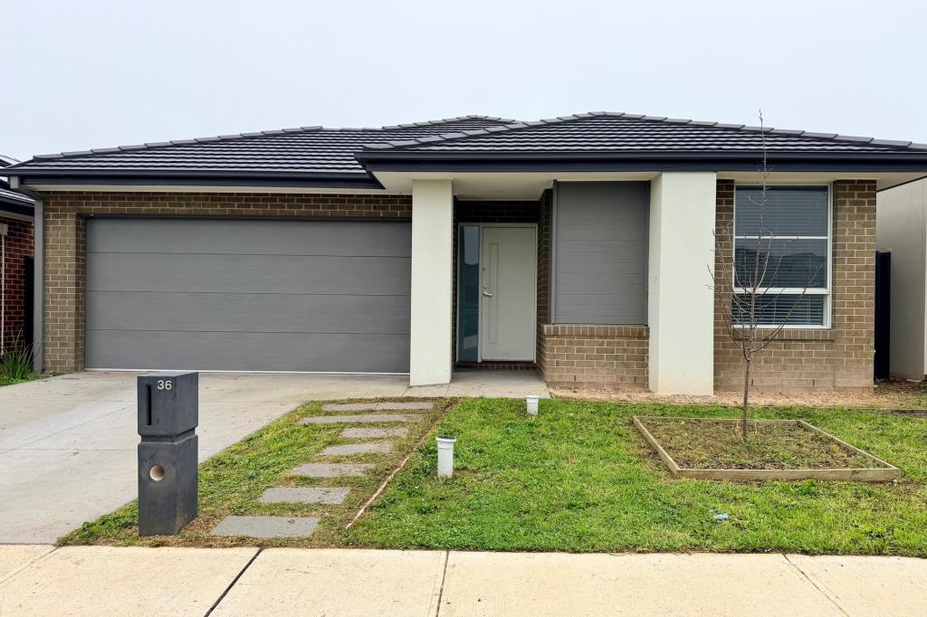 36 Risely Rd, Clyde North, VIC 3978