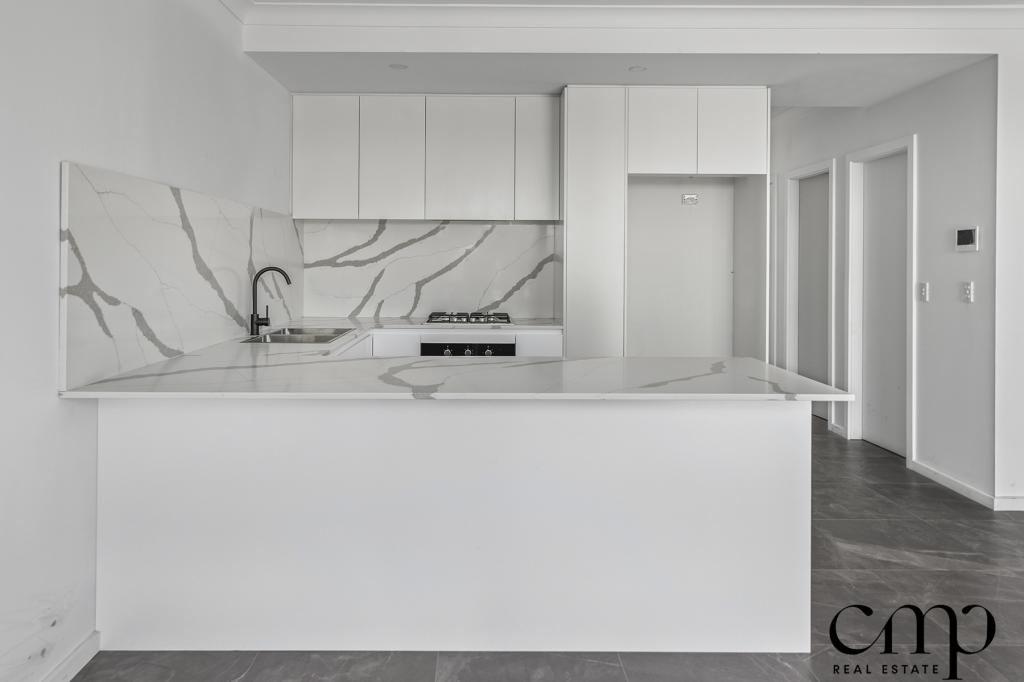 167 Macarthur Rd, Spring Farm, NSW 2570