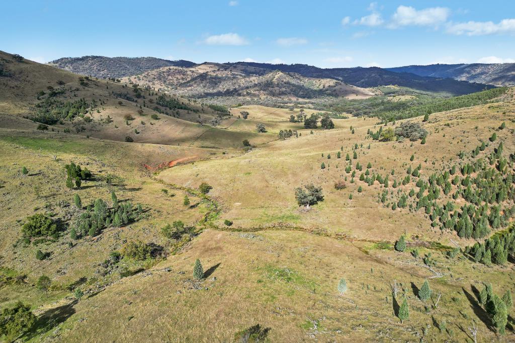 2/1193 Yarrabin Rd, Mudgee, NSW 2850