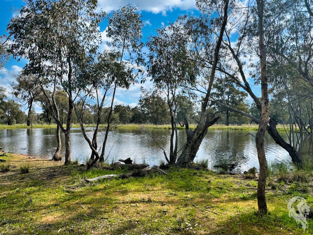 483 Gwabegar Rd, Cuttabri, NSW 2388