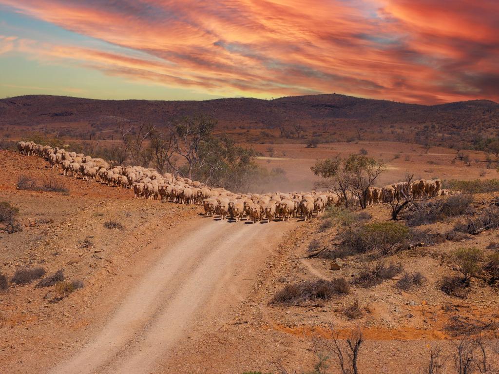 Mt Freeling Station Talc Mine Rd, Mount Freeling, SA 5731
