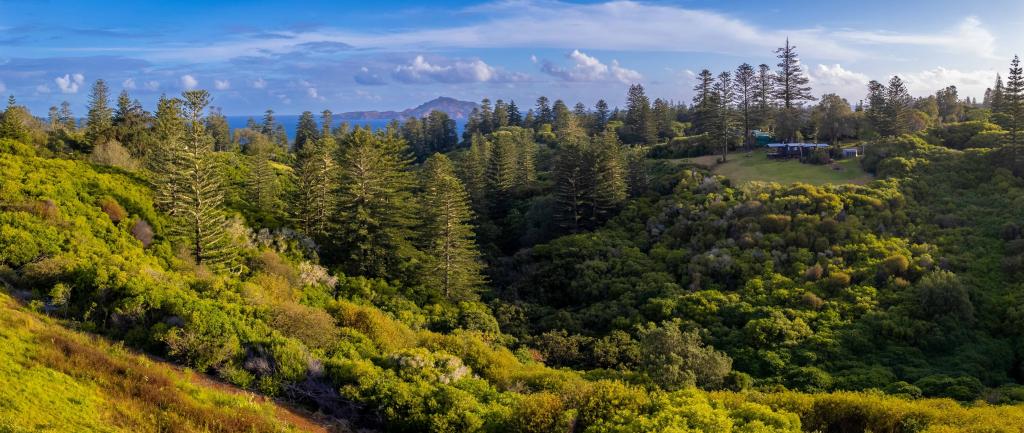 77Z4 LONGRIDGE ROAD, NORFOLK ISLAND, NSW 2899