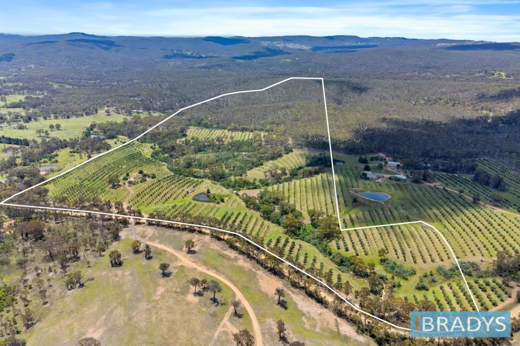 569 Marked Tree Rd, Gundaroo, NSW 2620