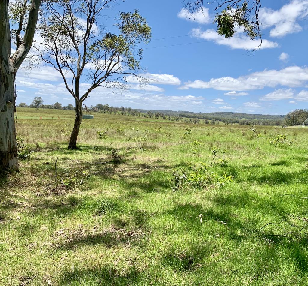 5454 Mount Lindesay Rd, Liston, NSW 2372