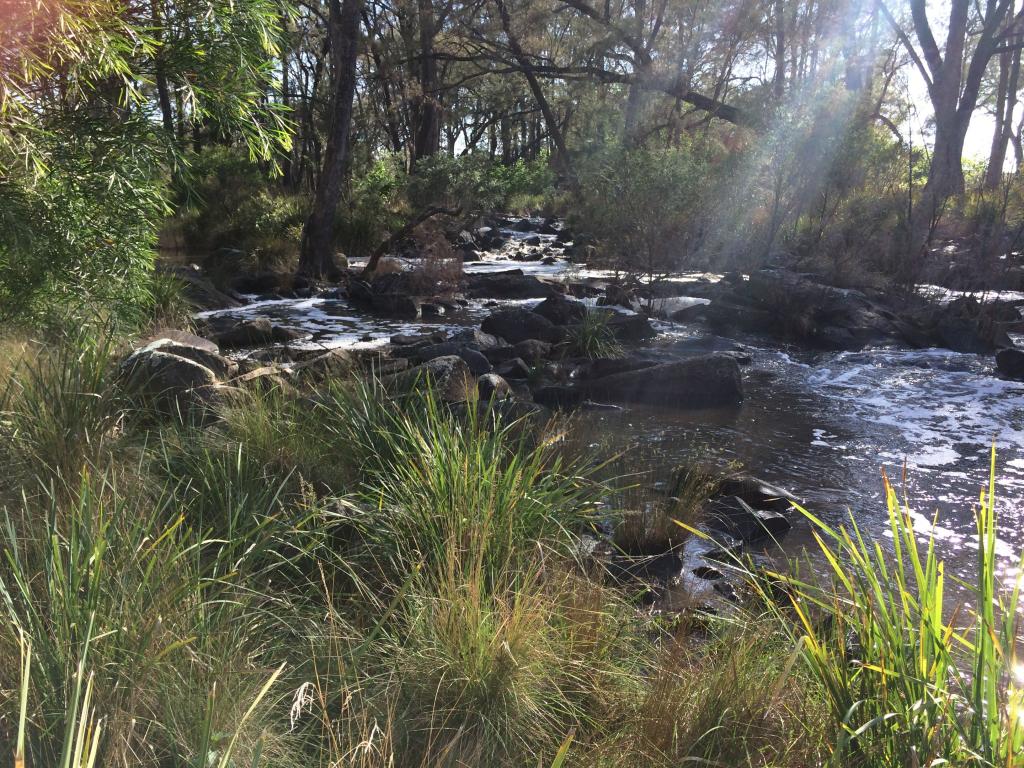 Contact Agent For Address, Tenterfield, NSW 2372