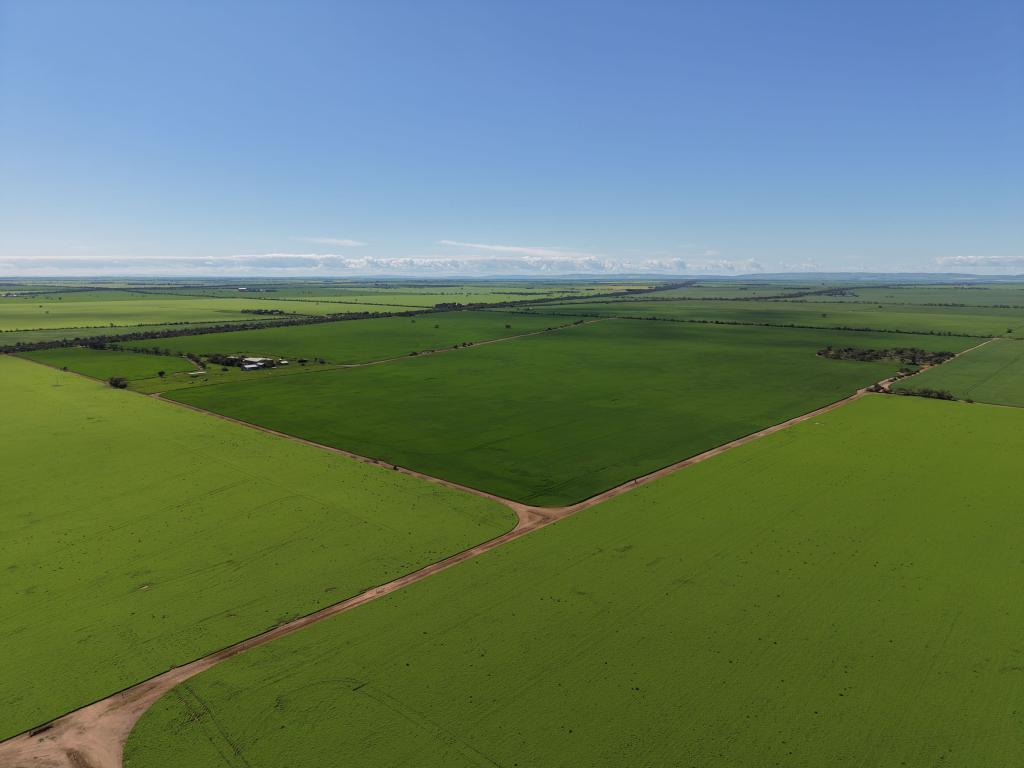 534 Willamulka Rd, Willamulka, SA 5554