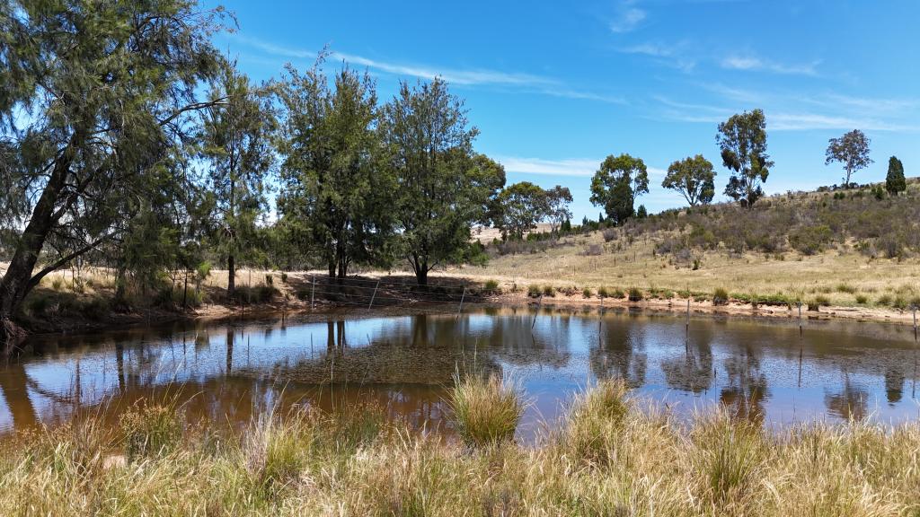 222 Battery Crossing Rd, Reids Flat, NSW 2586