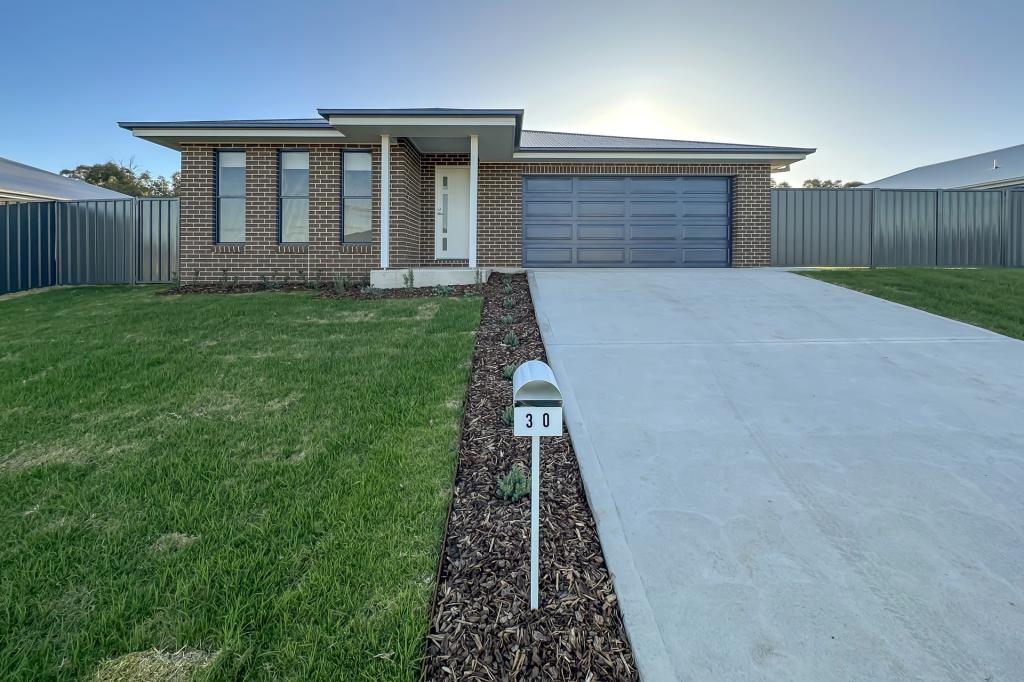 30 Suttor Ave, Caerleon, NSW 2850