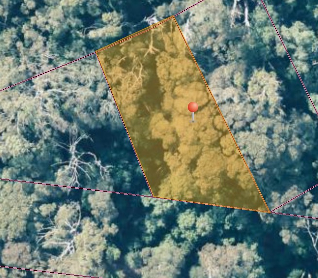 LOT 1 1824490 EDWARD STREET WEST COAST [BALFOUR], TEMMA, TAS 7330