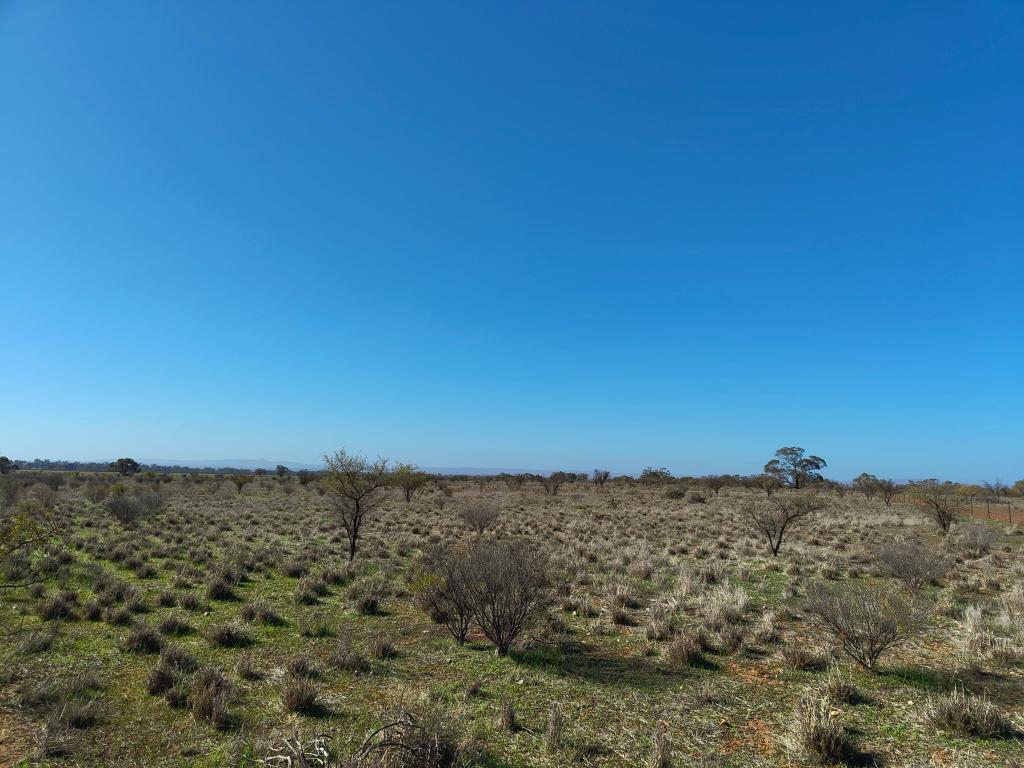 Lot 213 Duhring Rd, Wilmington, SA 5485