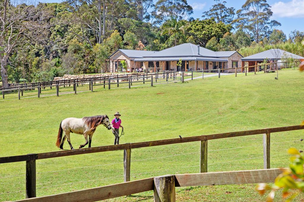 204 MAIN WESTERN RD, TAMBORINE MOUNTAIN, QLD 4272