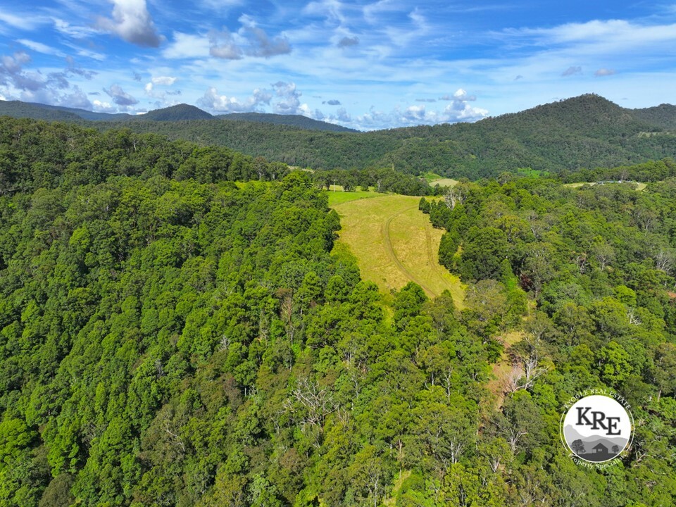 1146 Lynches Creek Rd, Lynchs Creek, NSW 2474