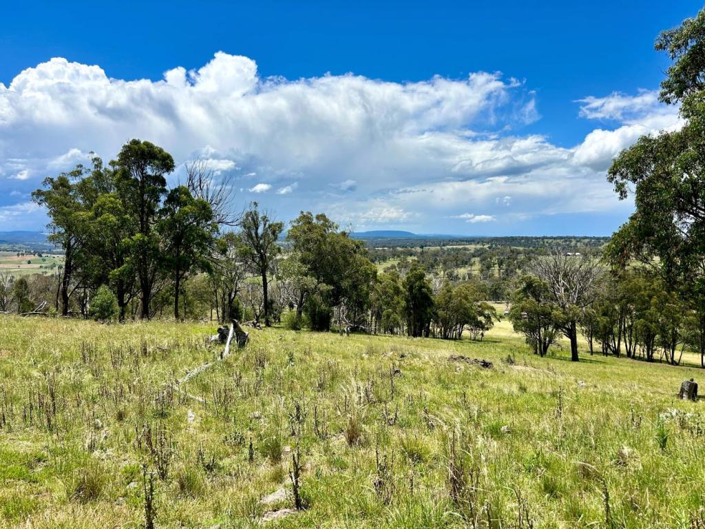 Lot 338 Swilks Rd, Rocky River, NSW 2358