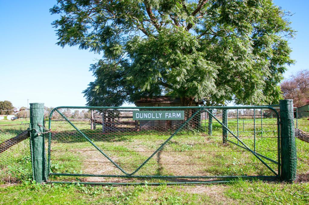 31-33 DUNOLLY RD, DUNOLLY, NSW 2330