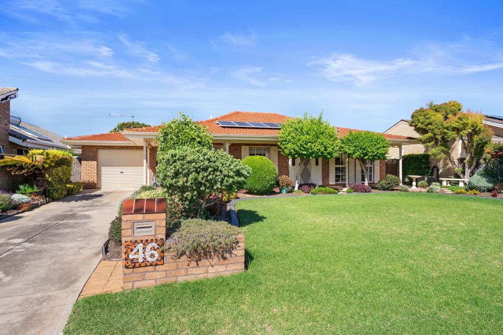46 Spruce Ave, Warradale, SA 5046